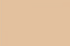 117-Rail-Color
