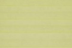 8170C_Lemon-49200