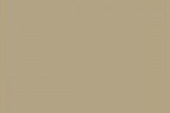841-Rail-Color