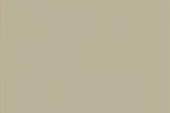 868-Rail-Color