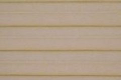 cashew_l-2240