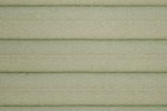 fern_l-980