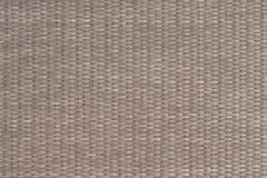 Hampton_Gray