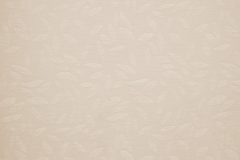 Leaflet_Soft_White