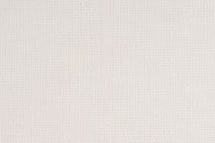 Madison_Parchment