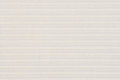Petite_Pleat_Ivory