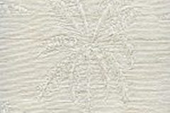 4237-Palm-Beach-Coconut
