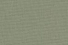 du1538-dusk-pine
