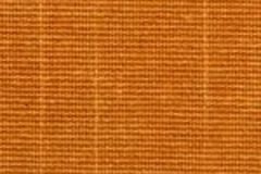 ithaca-harvest-pumpkin