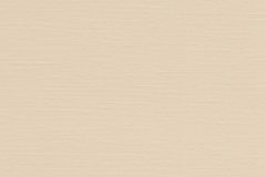 Antique White-6704