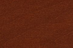 Cappuccino-9721