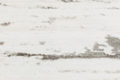Cottage White-4737