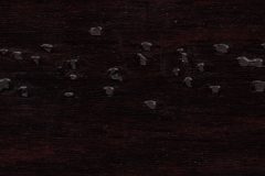 Deep Merlot Distressed-4736