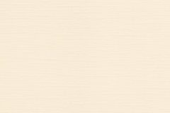 Eggshell-6703