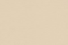 Latte-9704