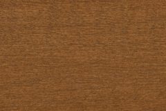 Mocha-9719