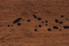 Tavern Oak Distressed-4731