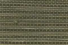 1113_biscayne_moss-5264