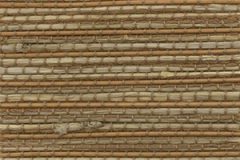 1114_biscayne1bamboo-5266