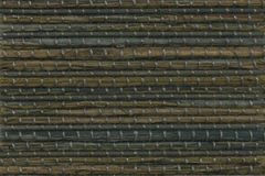 1115_biscayne_seagrass-5268