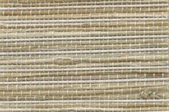 1118_biscayne_cornsilk-5270