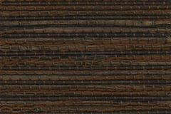 1119_biscayne_tree_bark-5272