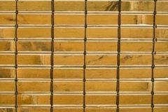 4090_Rustic_Tortoise-3058