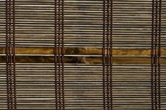 4301_Saipan_Tortoise-3070