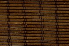 4319_Tortugas_Bronze-3086